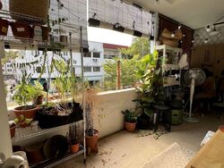tiong-bahru-estate photo thumbnail #9